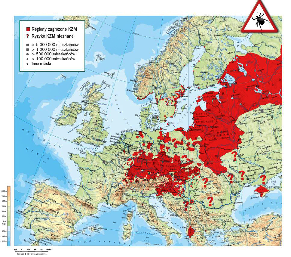 odkleszczowe zapalenie mózgu